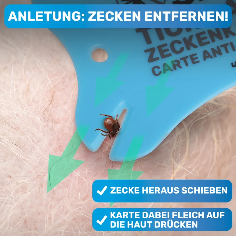 Zeckenkarte mit Lupe, Zeckenentferner