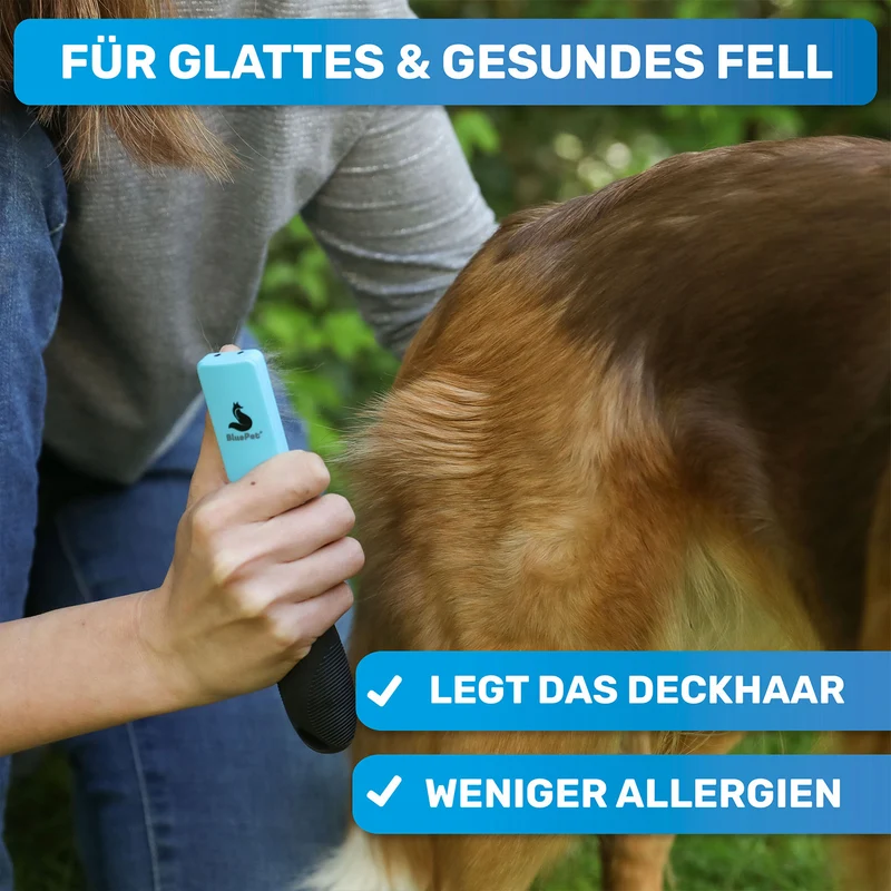 Entfilzer für Hunde und Katzen