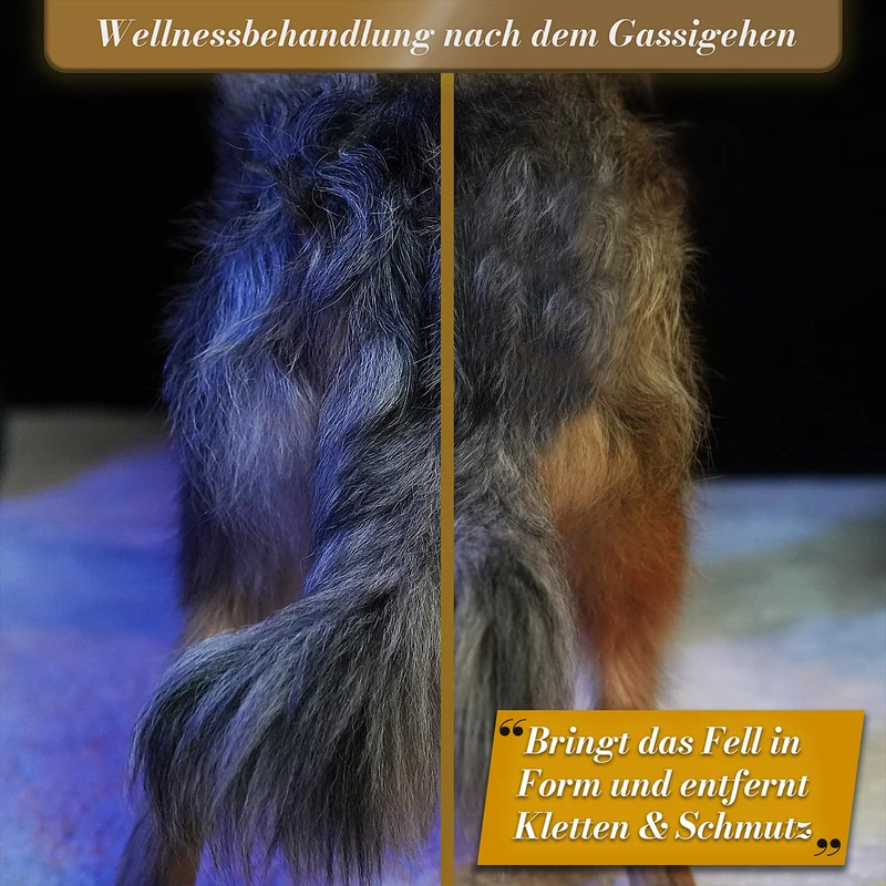 "GlanzTanz" Entfilzungskamm