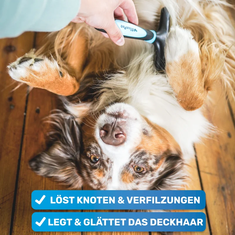 "GlanzTanz" Entfilzungskamm