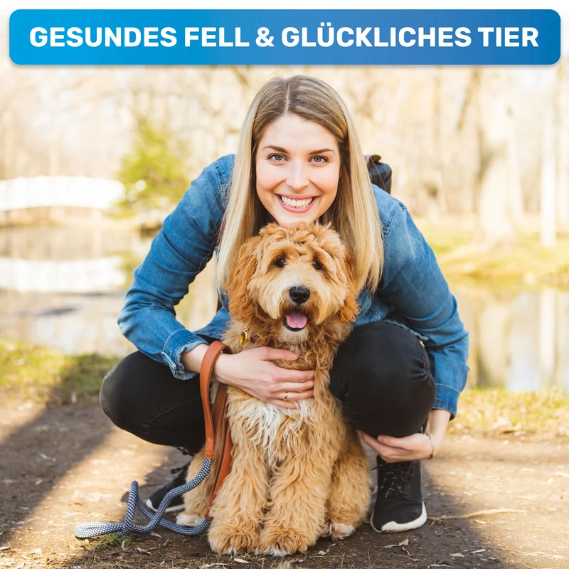 "GlanzTanz" Entfilzungskamm