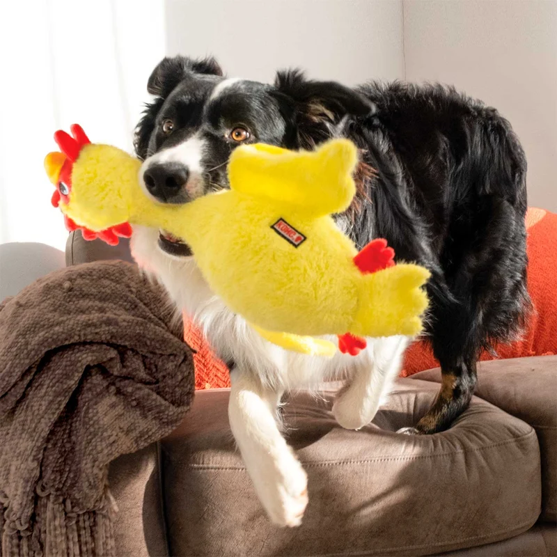 Hundespielzeug KONG® Scruffs