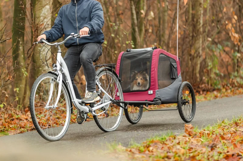 Fahrradanhänger für Hunde