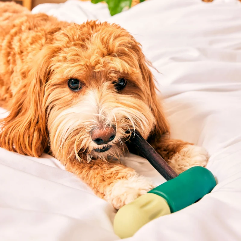 BullySafe Bully Stick Halte für Hunde- sicherer Kauartikel Halter