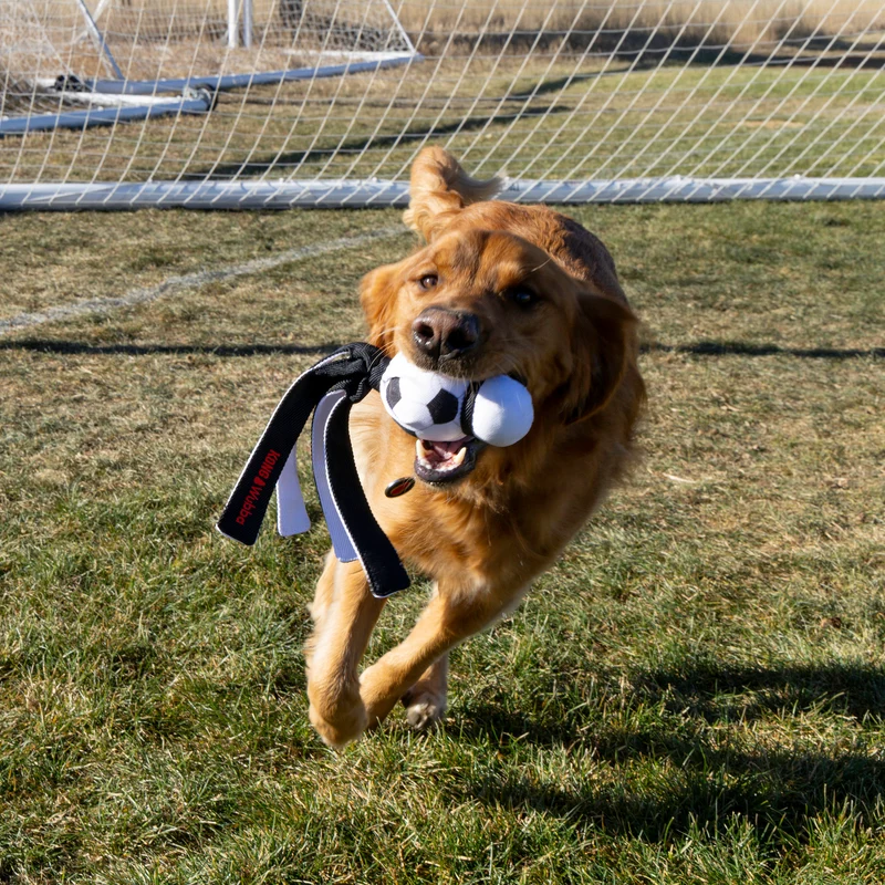 KONG Wubba Sports Hundespielzeug – Zerrspielzeug mit Quietscher