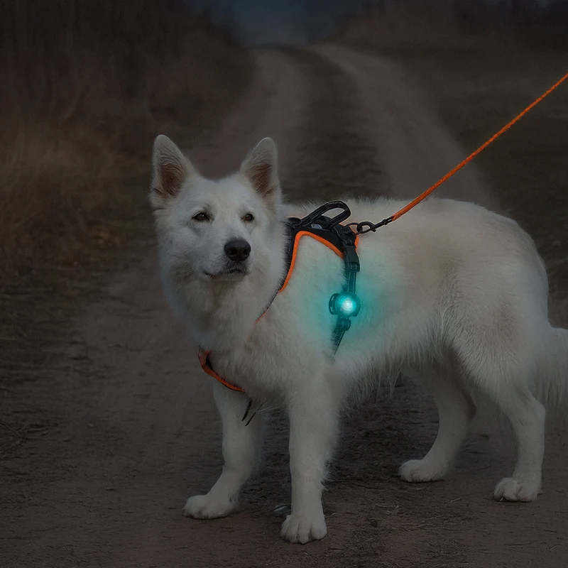 Orbiloc LED-Leuchte für Halsband oder Geschirr