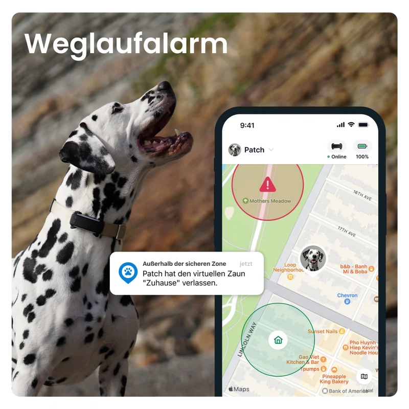 GPS Tracker Tractive Dog 6