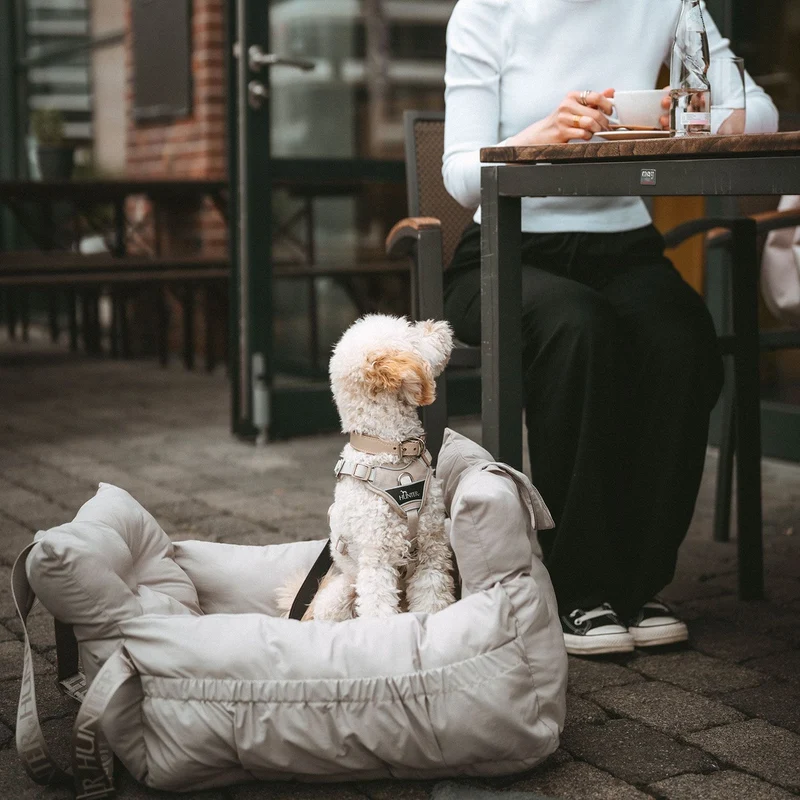HUNTER 2-in-1 Autositz Seoul für Hunde