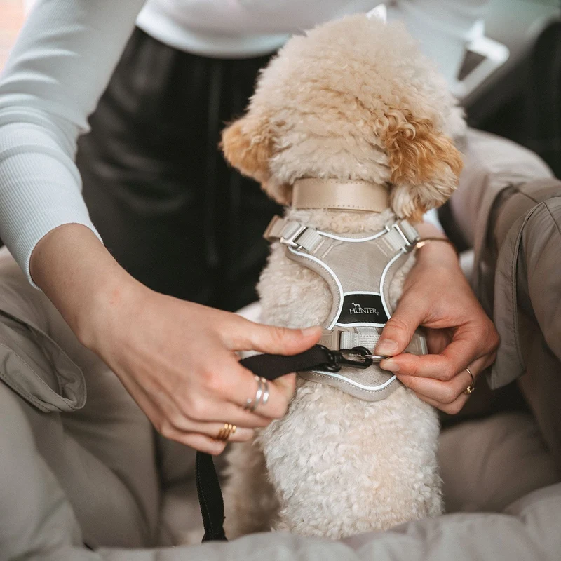 HUNTER 2-in-1 Autositz Seoul für Hunde
