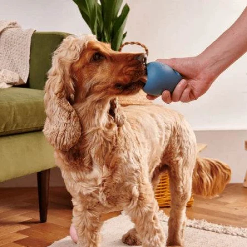 Beco Boredom Buster – interaktives Hundespielzeug
