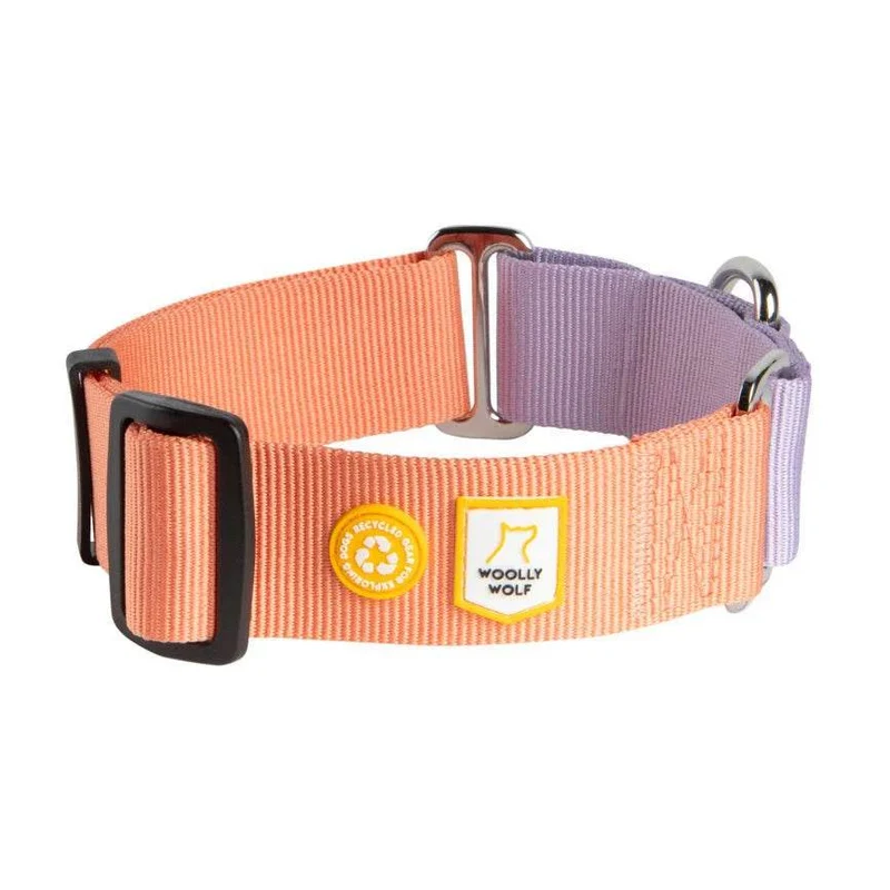 Woolly Wolf Martingale Halsband – nachhaltig & sicher