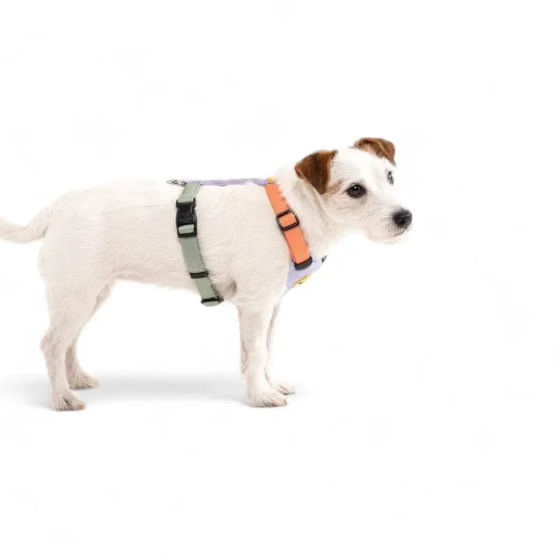 Woolly Wolf Color Block Hundegeschirr – Salmon Pink Mix