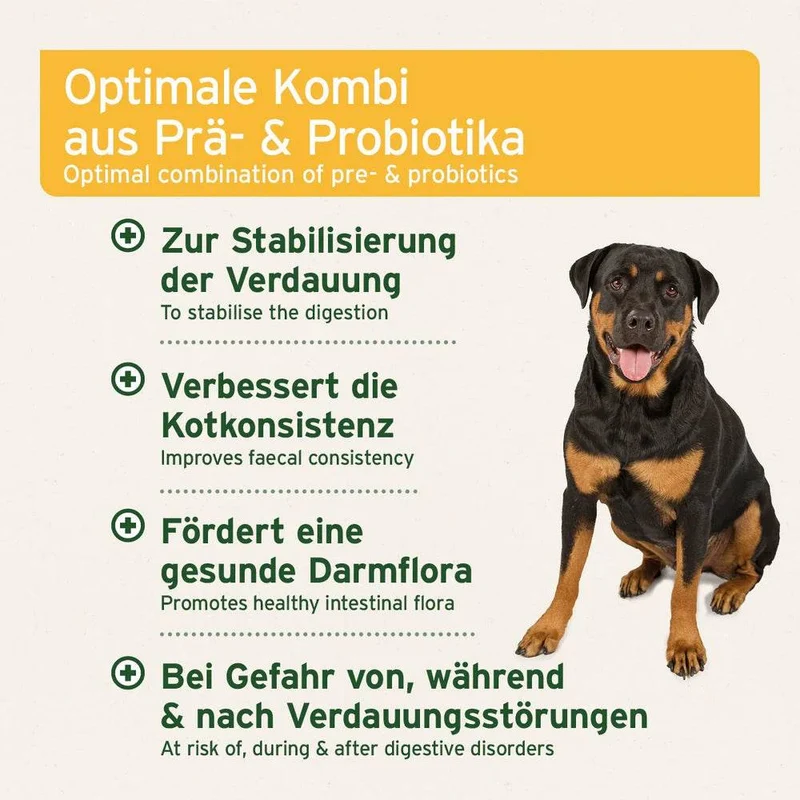AniForte Probiotikum Tabs – für Hunde
