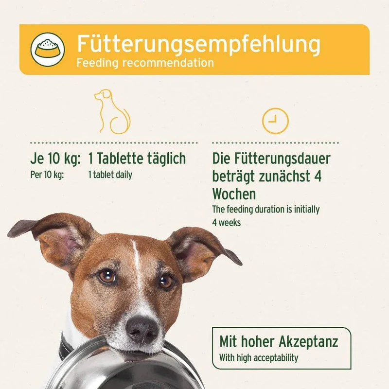 AniForte Probiotikum Tabs – für Hunde