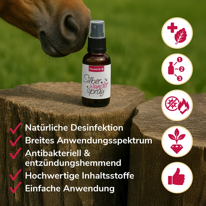Silberwunderspray aus kolloidalem Silber