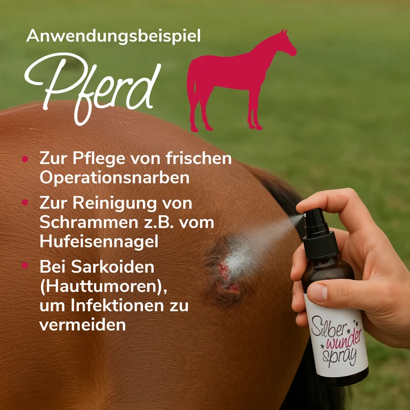 Silberwunderspray aus kolloidalem Silber