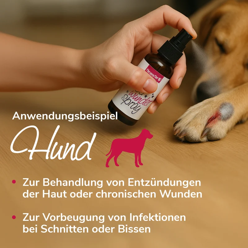 Silberwunderspray aus kolloidalem Silber