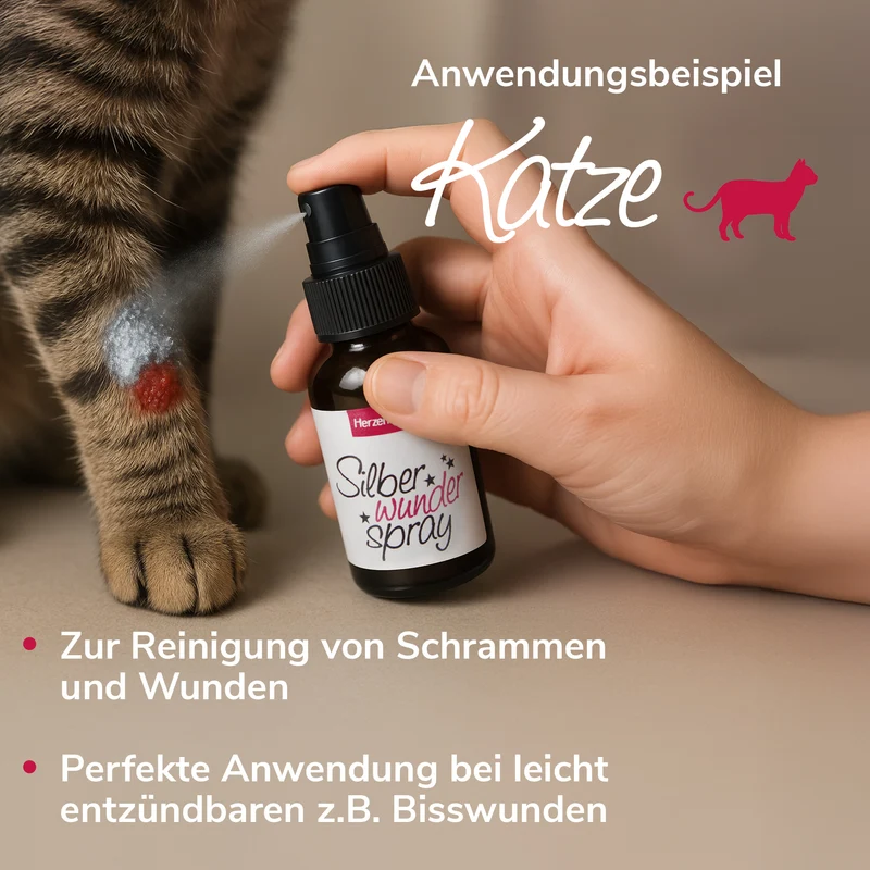Silberwunderspray aus kolloidalem Silber
