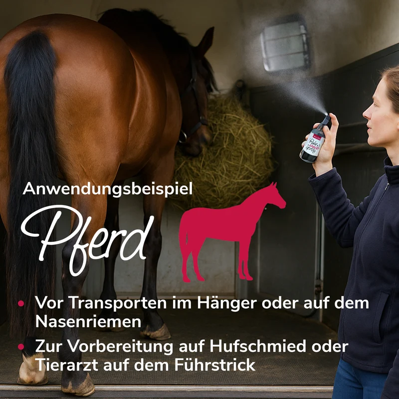 Ruhewunderspray - Duft zur Entspannung