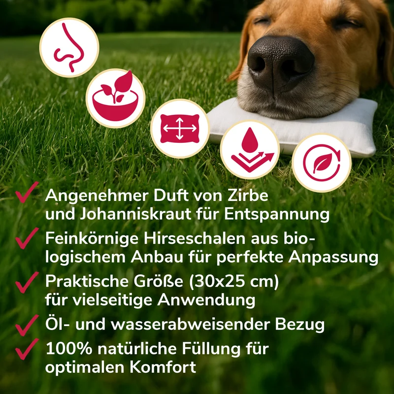 Ruhewunderkissen für Schlafplatz, Transportbox