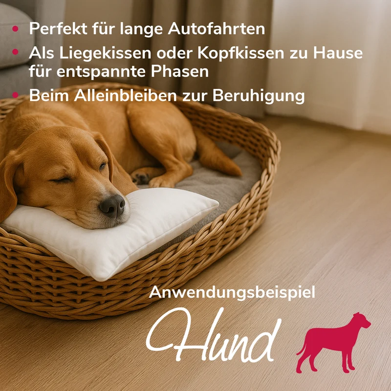 Ruhewunderkissen für Schlafplatz, Transportbox