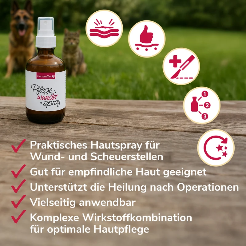 Pflegewunderspray zur Hautpflege bei Wunden, rissigen Stellen