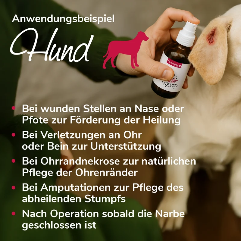 Pflegewunderspray zur Hautpflege bei Wunden, rissigen Stellen