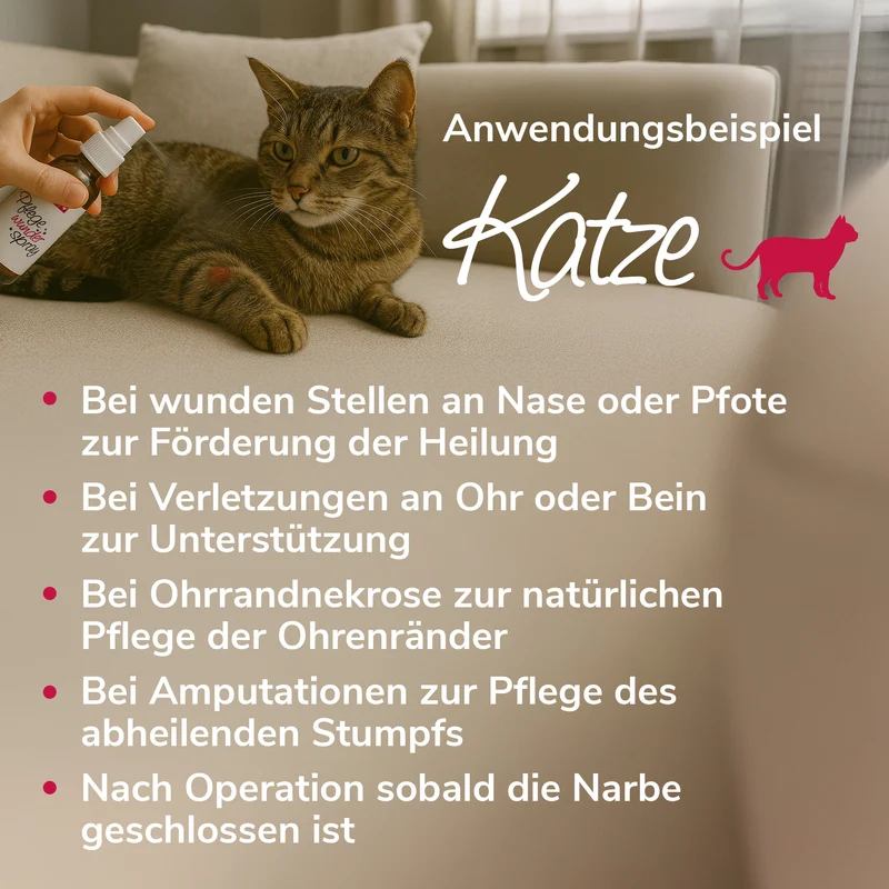 Pflegewunderspray zur Hautpflege bei Wunden, rissigen Stellen