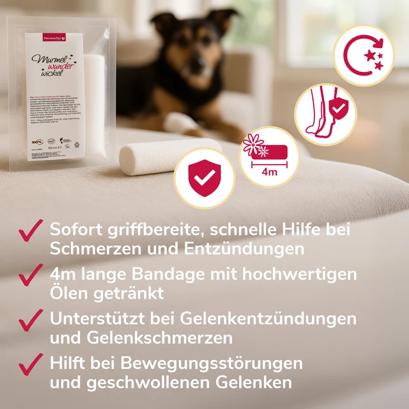 Murmelwunderwickel für Gelenke und Muskeln
