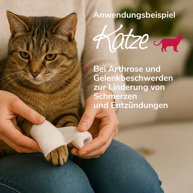 Murmelwunderwickel für Gelenke und Muskeln