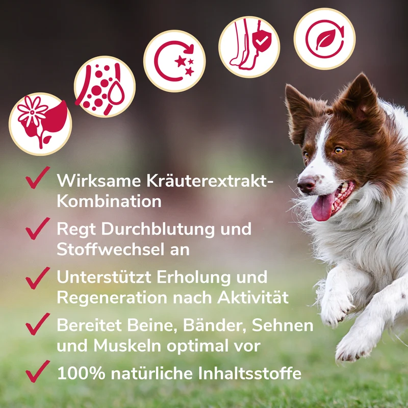 Gelenkwundergel für Muskeln, Sehnen und Gelenke