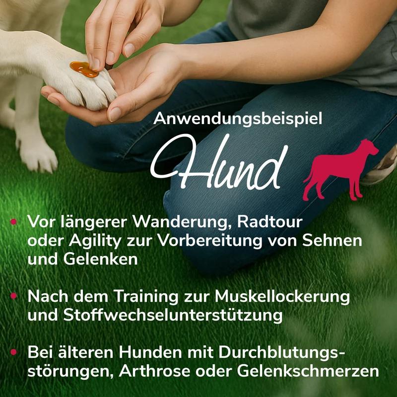 Gelenkwundergel für Muskeln, Sehnen und Gelenke