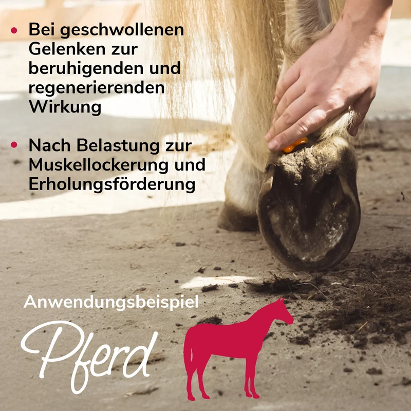 Gelenkwundergel für Muskeln, Sehnen und Gelenke