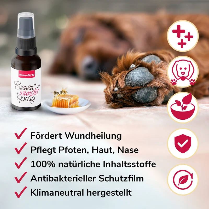 Bienenwunderspray für Pfote, Haut & Nase
