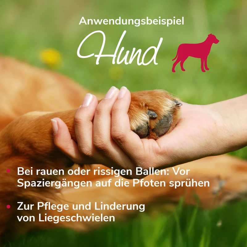 Bienenwunderspray für Pfote, Haut & Nase