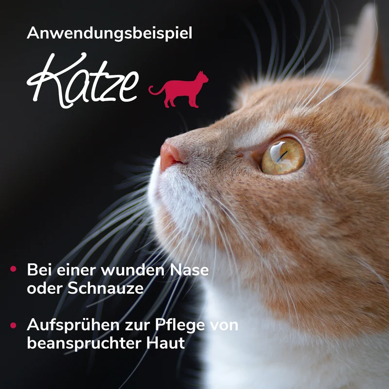 Bienenwunderspray für Pfote, Haut & Nase