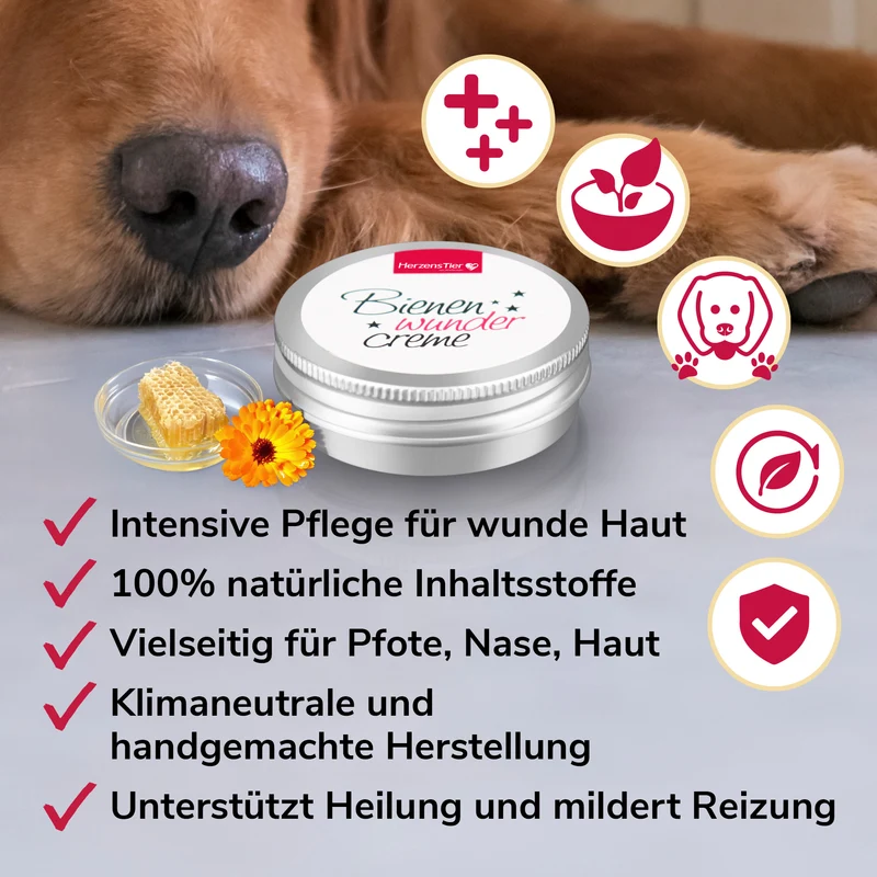 Bienenwundercreme für Pfote, Nase & Haut