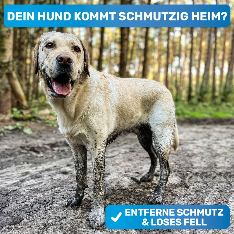'FellFein' Gummistriegel für Hunde