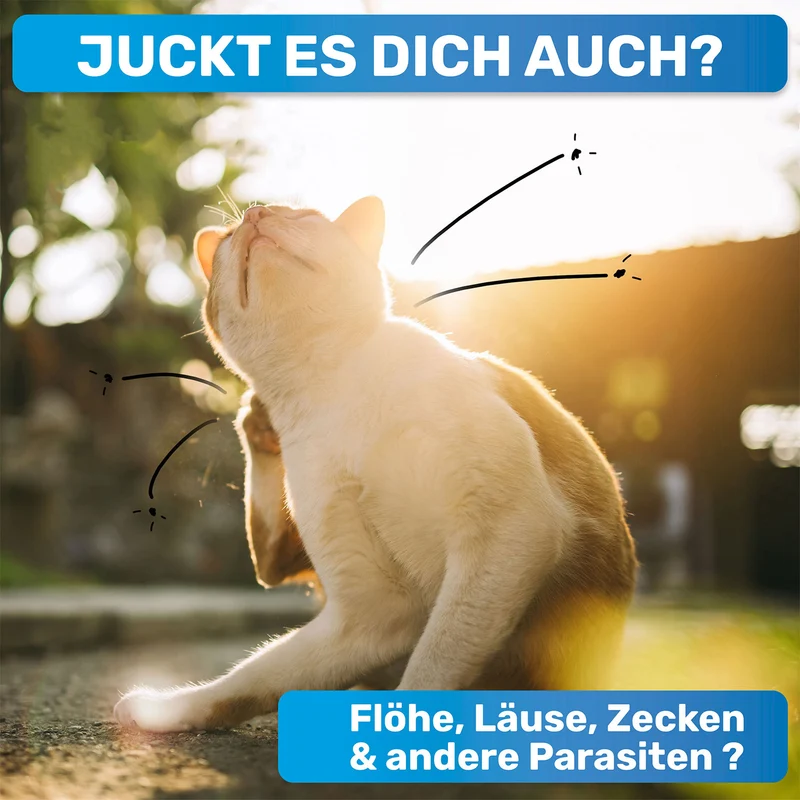 Flohkamm, Läusekamm, Milbenkamm für Hunde & Katzen
