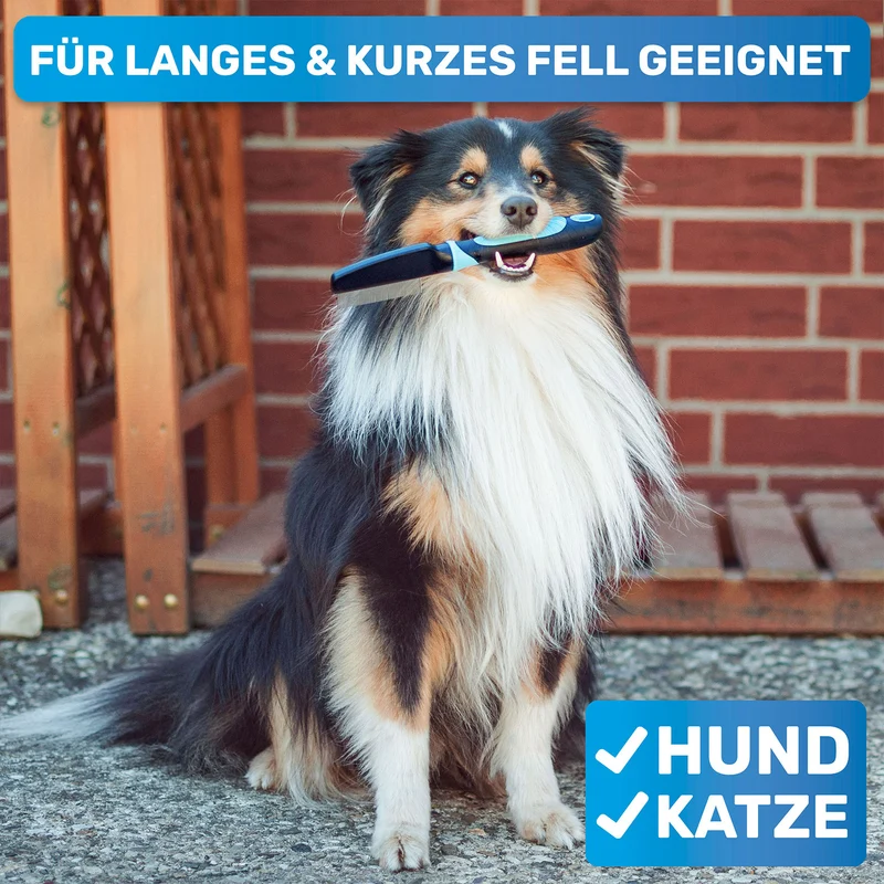 Flohkamm, Läusekamm, Milbenkamm für Hunde & Katzen