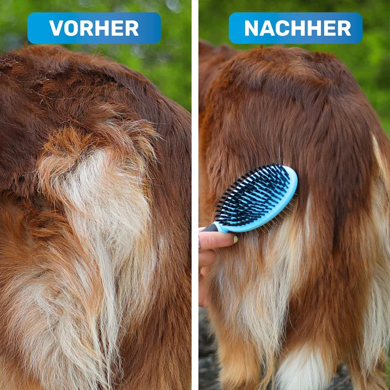 'DoppelDecker' Doppelbürste für Hunde und Katzen