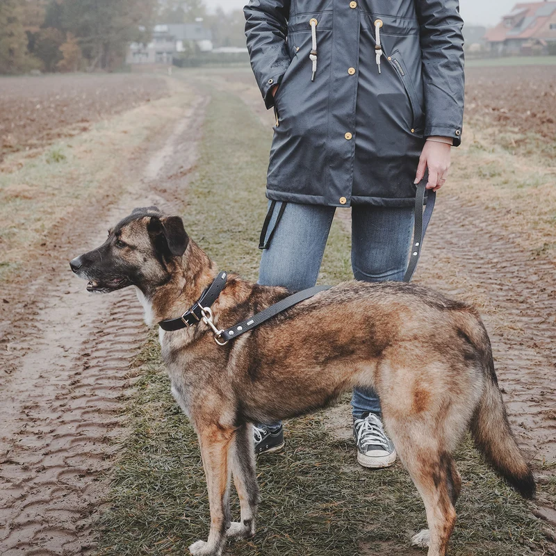 Halsband Valdivia