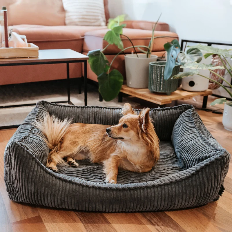 Orthopädisches/Ergonomisches Hundesofa Corbie