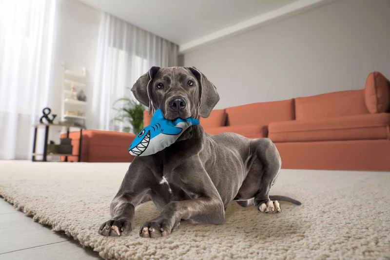 Hundespielzeug KONG® Maxx