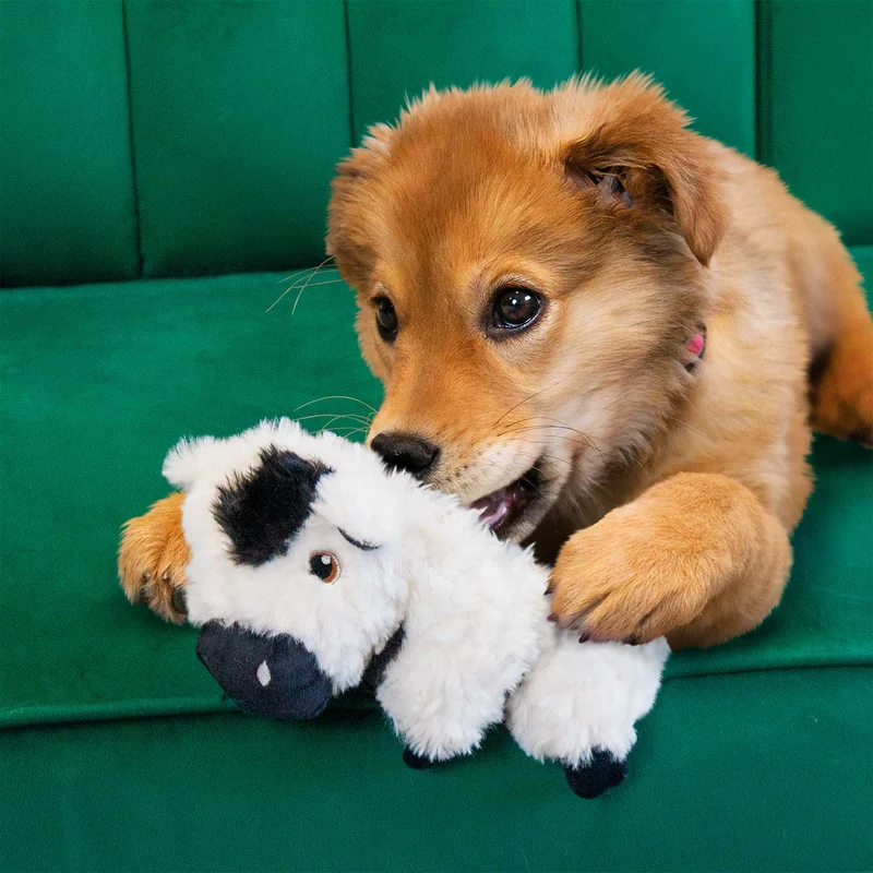 Hundespielzeug KONG® Comfort™ Tykes
