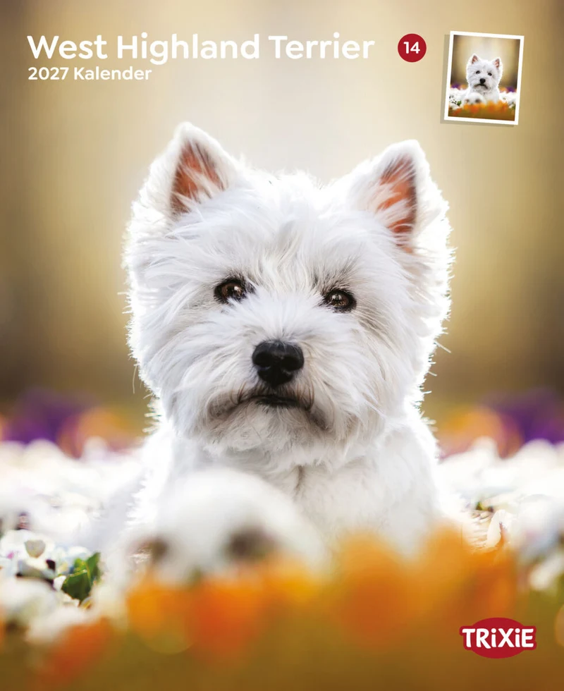 Kalender West Highland Terrier