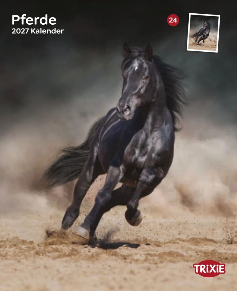 Kalender Pferde