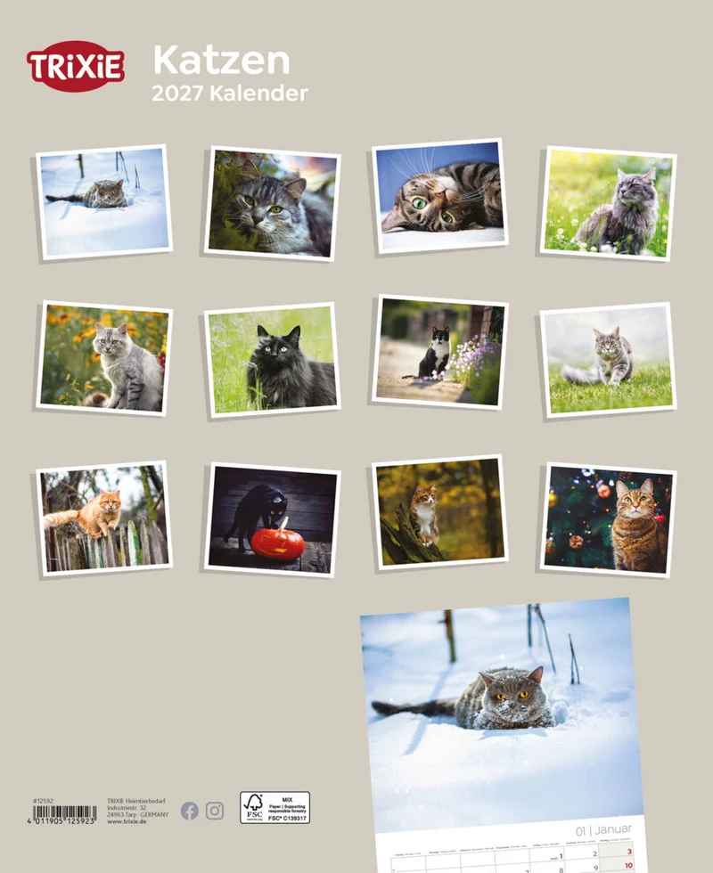 Kalender Katzen