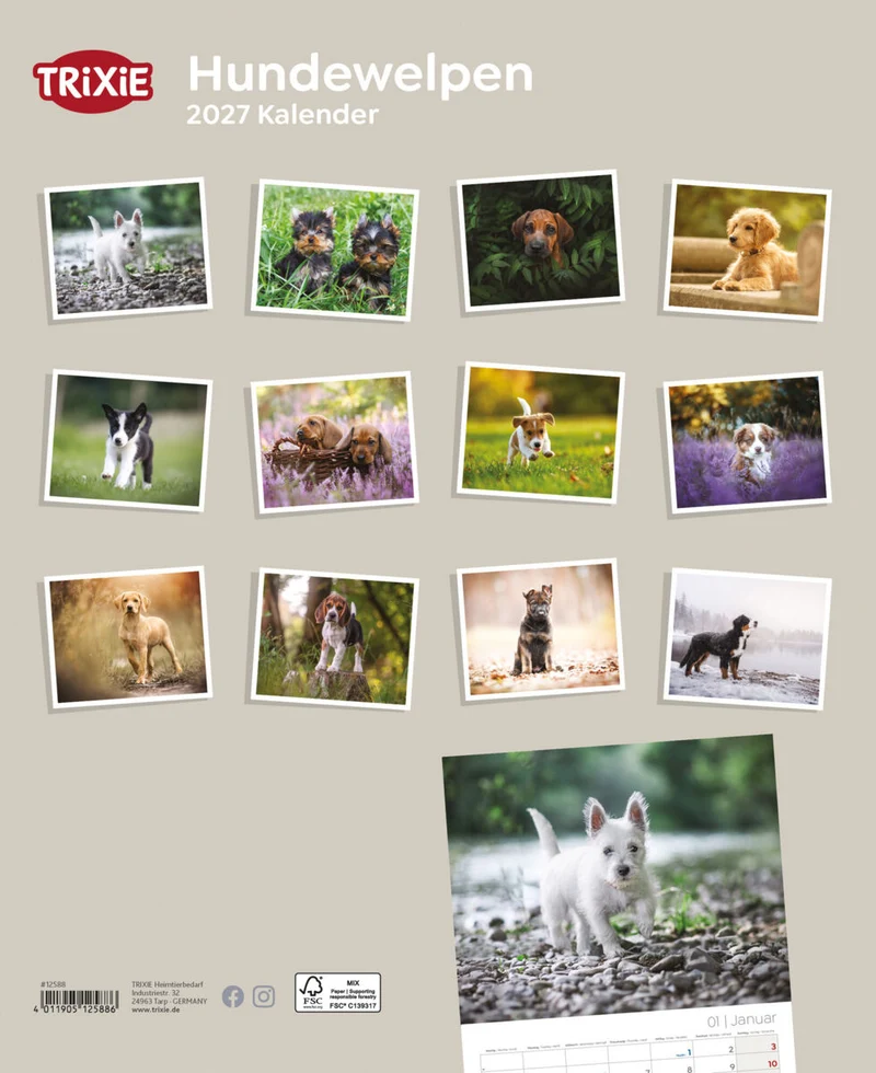 Kalender Hundewelpen
