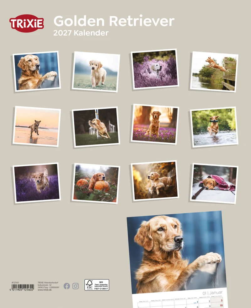 Kalender Golden Retriever
